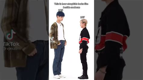 skz members height|Stray Kids Members’ Height, From Tallest To Shortest。